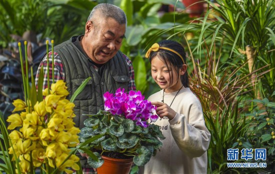 �����Aҕ�磩��1���ӱ��ʳǣ��Gֲ����ӭ����